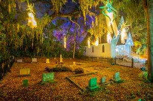 Image post by @visitsarasotacounty on Instagram