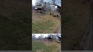 Video post by @accuweather on YouTube