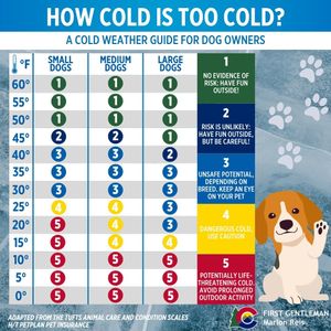 Image post by @firstgentmarlonreis on Instagram