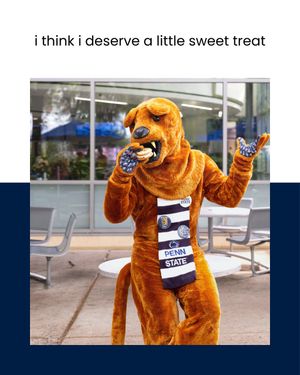 Image post by @raisepennstate on Instagram