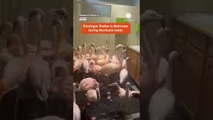 Video post by @accuweather on YouTube