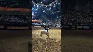Video post by @pbr on YouTube