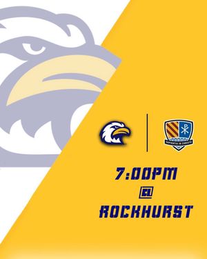 Image post by @lneaglehoops on Instagram