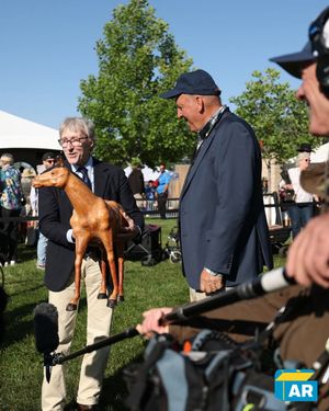 Image post by @roadshowpbs on Instagram