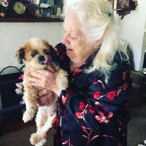 Image post by @mealsonwheelswest on Instagram
