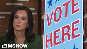 Video post by @msnbc on YouTube