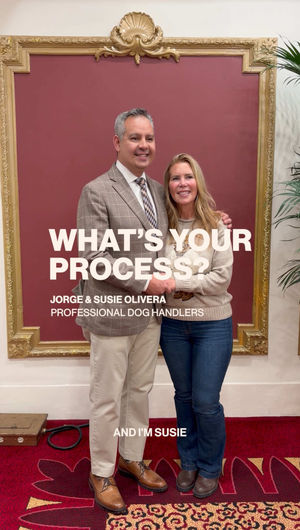 Video post by @whatsyourprocess on TikTok