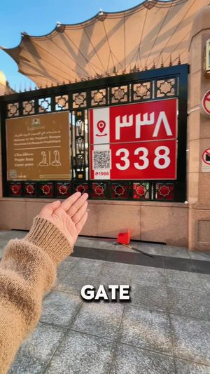Video post by @boss_hamed on TikTok