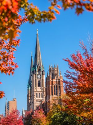 Image post by @marquetteu on Instagram