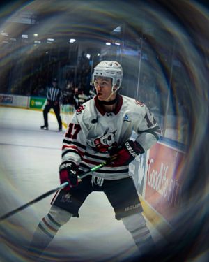 Image post by @ohlicedogs on Instagram