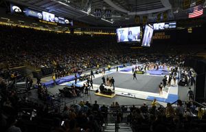 Image post by @IowaGymnastics on Twitter
