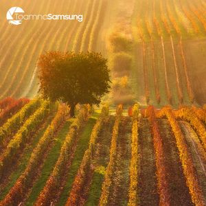 Image post by @samsungromania on Instagram
