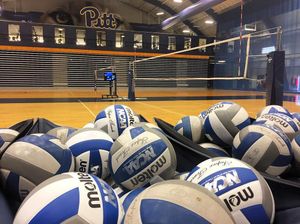 Image post by @pitt_vb on Instagram