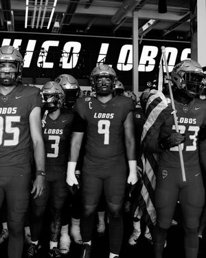 Image post by @unmlobofb on Instagram