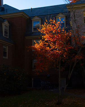 Image post by @brownu on Instagram