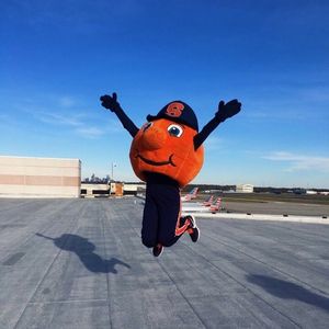 Image post by @theottoorange on Instagram