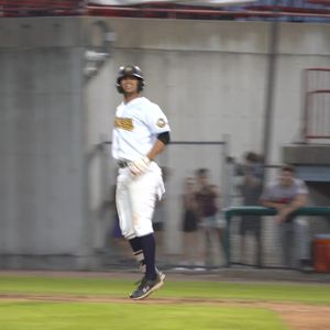 Video post by @BurlingtonBees on Facebook