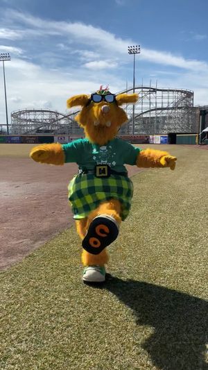 Image post by @altoonacurve on Instagram