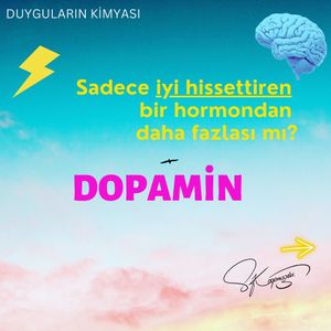 Image post by @drsedakosak on Instagram