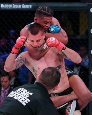 Image post by @bellatormma on Instagram