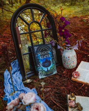 Image post by @fairyloot on Instagram
