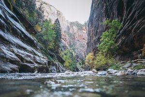 Image post by @nomadikrebelcreative on Instagram