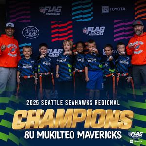 Image post by @nflflag on Instagram