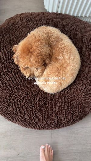 Video post by @tedflixnchill on TikTok