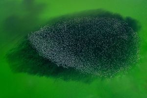 Image post by @droneartgallery on Instagram