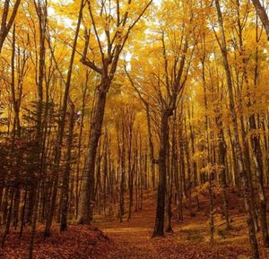 Image post by @nationalparkservice on Instagram