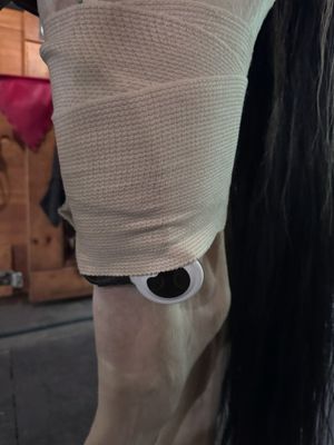 Image post by @theplaidhorsemag on Instagram