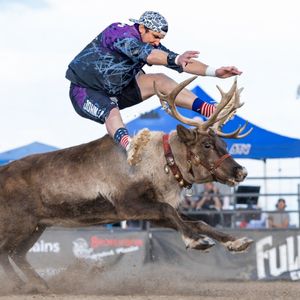 Image post by @ultimatebullfighters on Instagram