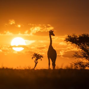 Image post by @discovery on Instagram