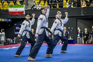 Image post by @worldtaekwondo on Instagram
