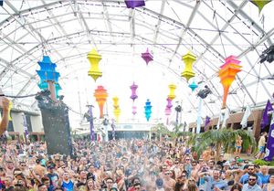 Image post by @marqueelv on Instagram