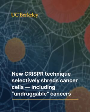 Image post by @ucberkeleyofficial on Instagram