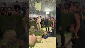 Video post by @elle on YouTube
