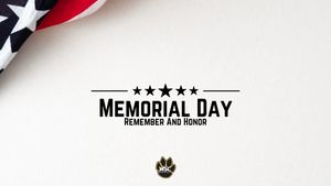Text post by @WSCWildcatVB on Twitter/X