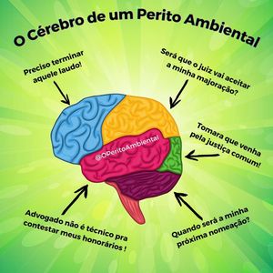 Image post by @operitoambiental on Instagram