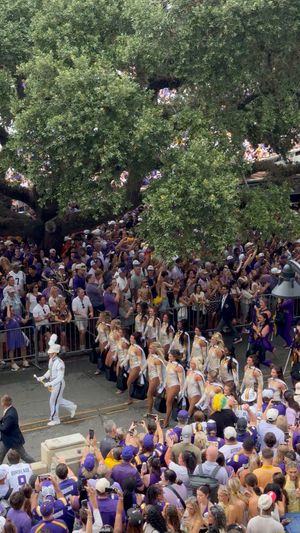 Video post by @LSUTigers on Facebook