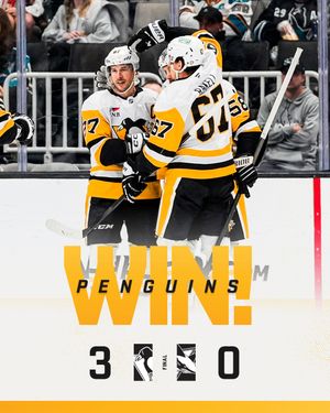 Image post by @penguins on Instagram