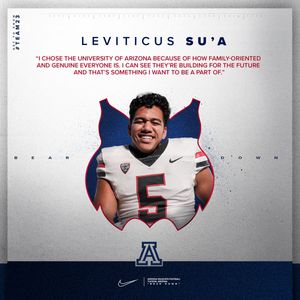 Image post by @ArizonaFBall on Twitter