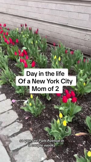 Video post by @sophiasreallife on TikTok