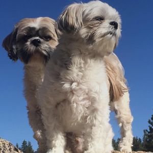 Image post by @lee_whittaker_ on Instagram