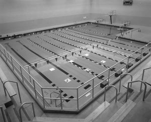 Image post by @wsucougarswim on Instagram