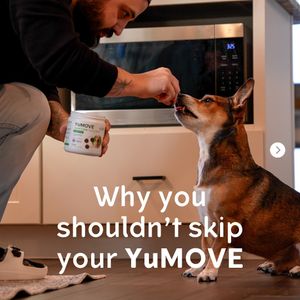 Image post by @yumove_usa on Instagram