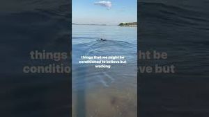 Video post by @bostonwithemily on YouTube