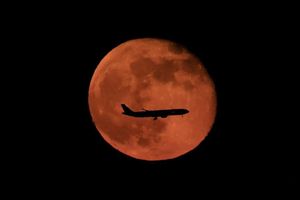 Image post by @deltaairlines_jp on Instagram