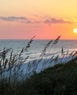 Image post by @SouthWalton on Twitter