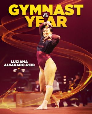 Image post by @CMUGymnastics on Twitter